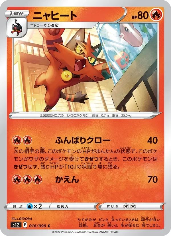 Torracat 16