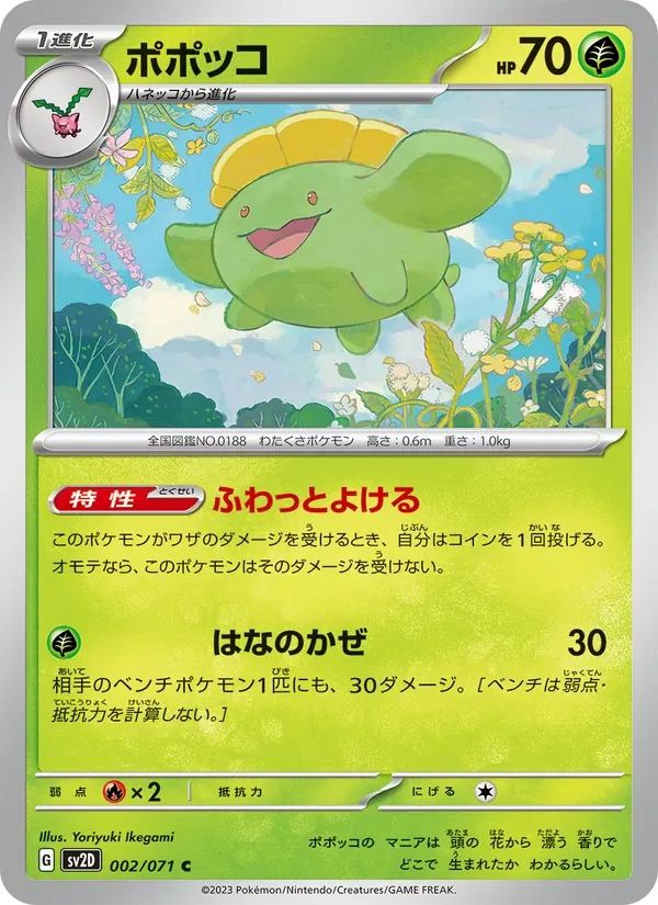 Skiploom 2
