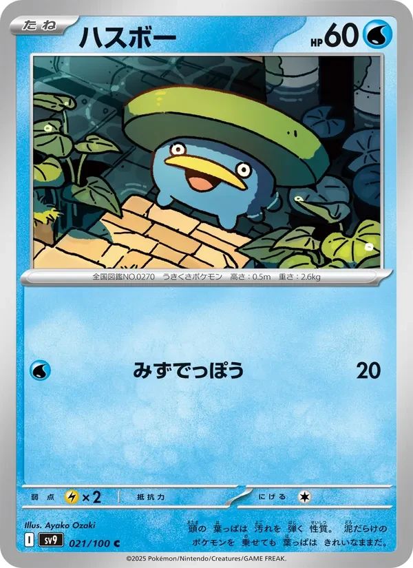 Lotad 21