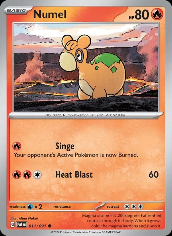 Numel 11
