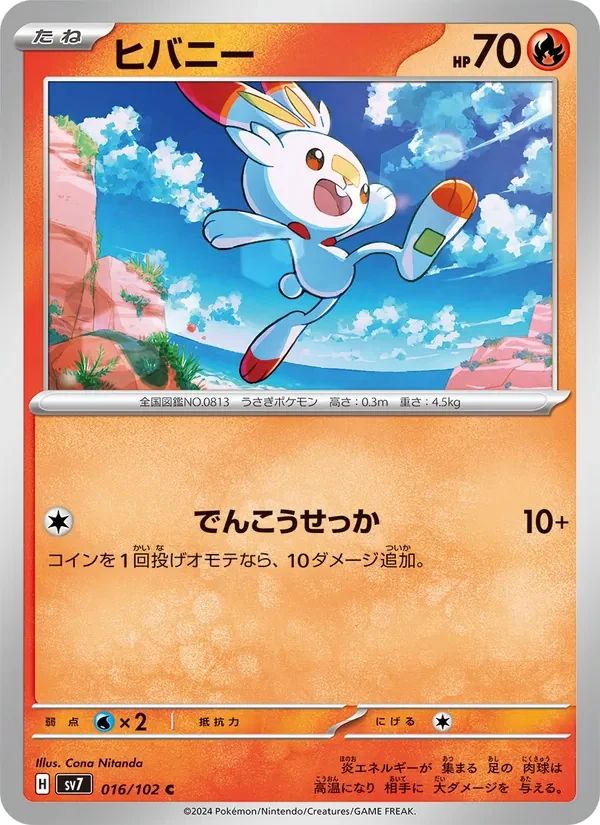 Scorbunny 16