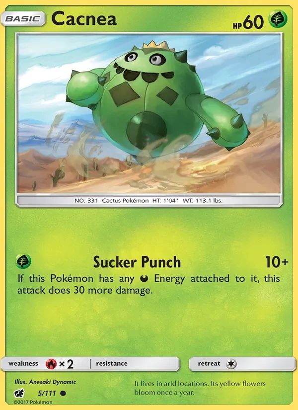 Cacnea 5