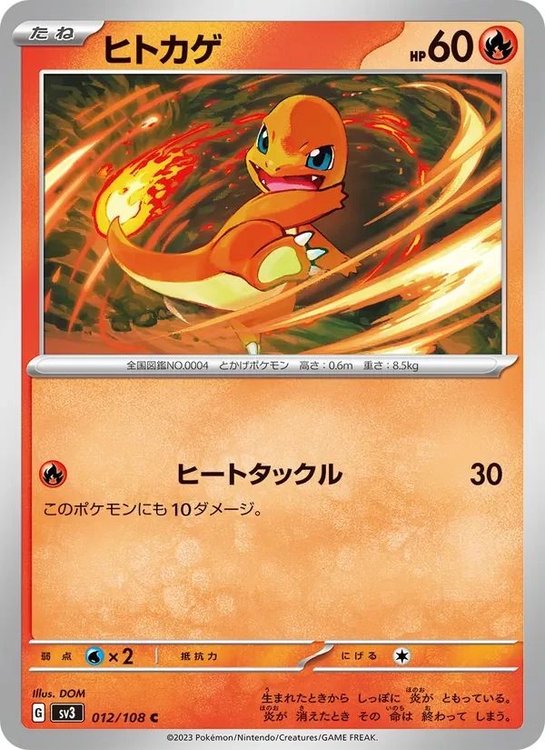 Charmander 12