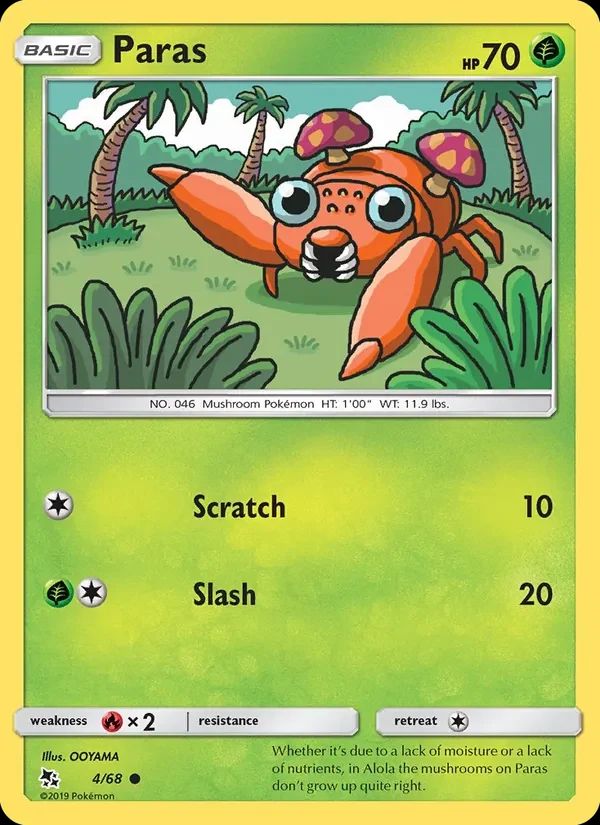 Paras 4