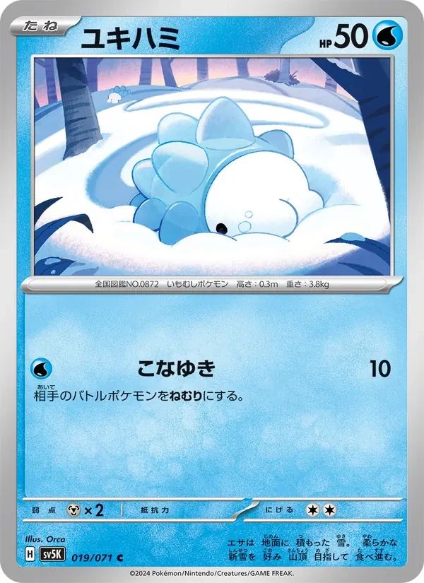 Snom 19