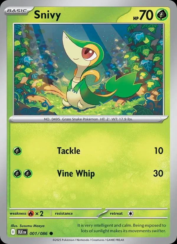 Snivy 1