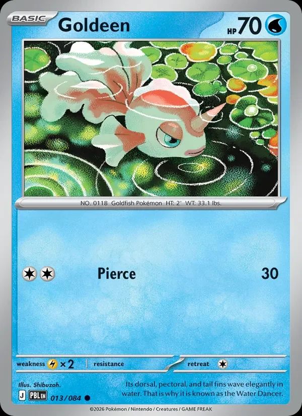 Goldeen 13
