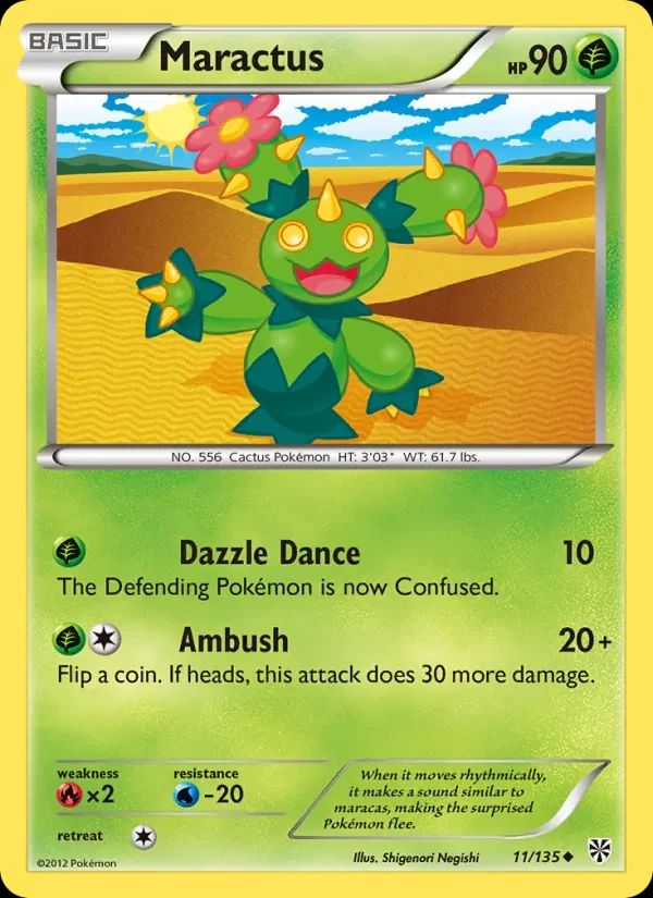 Maractus 11
