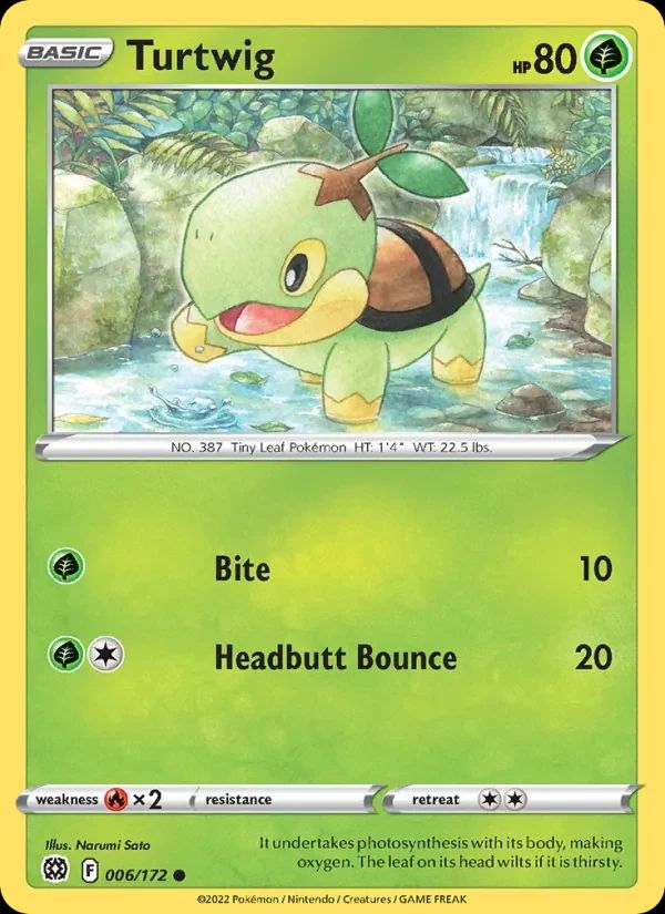 Turtwig 6