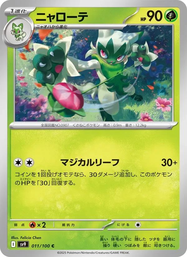 Floragato 11