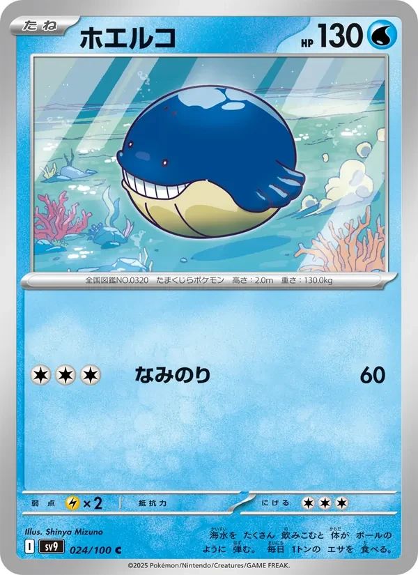 Wailmer 24