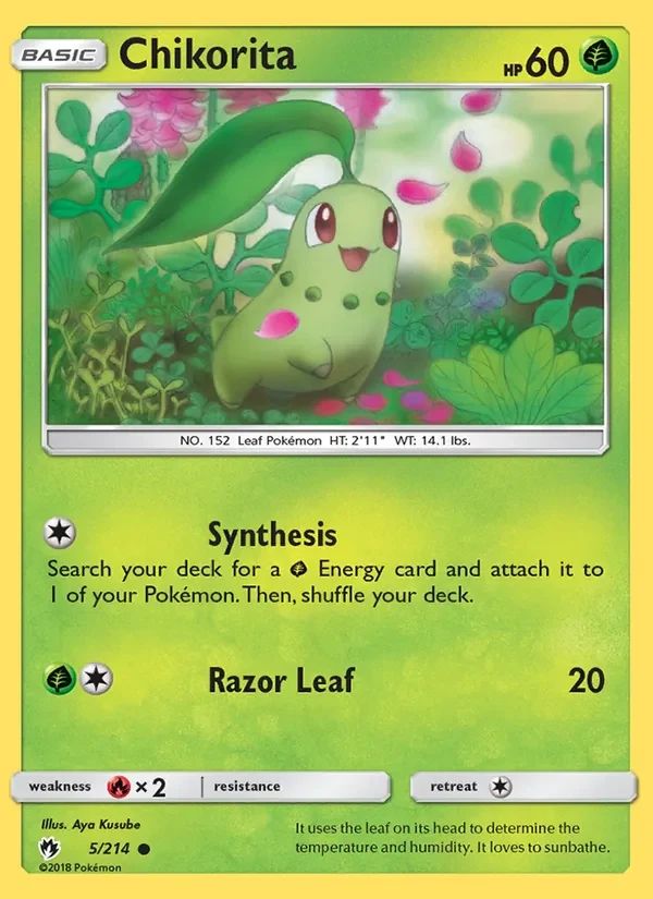 Chikorita 5