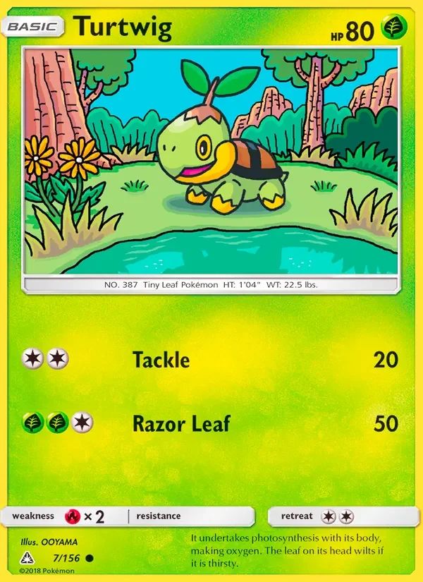 Turtwig 7