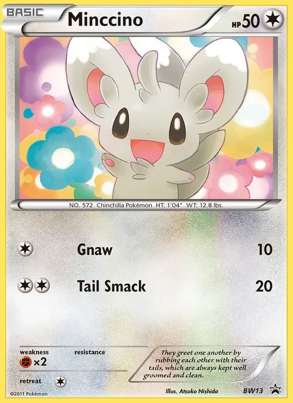 Minccino BW13