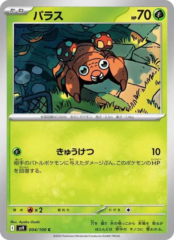 Paras 4