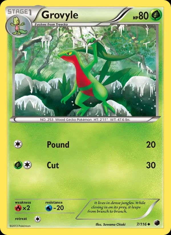 Grovyle 7