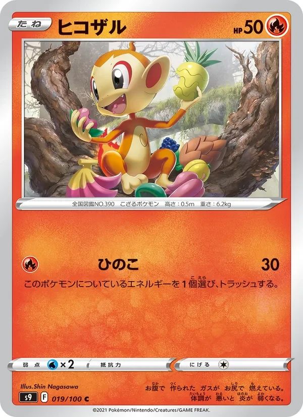 Chimchar 19