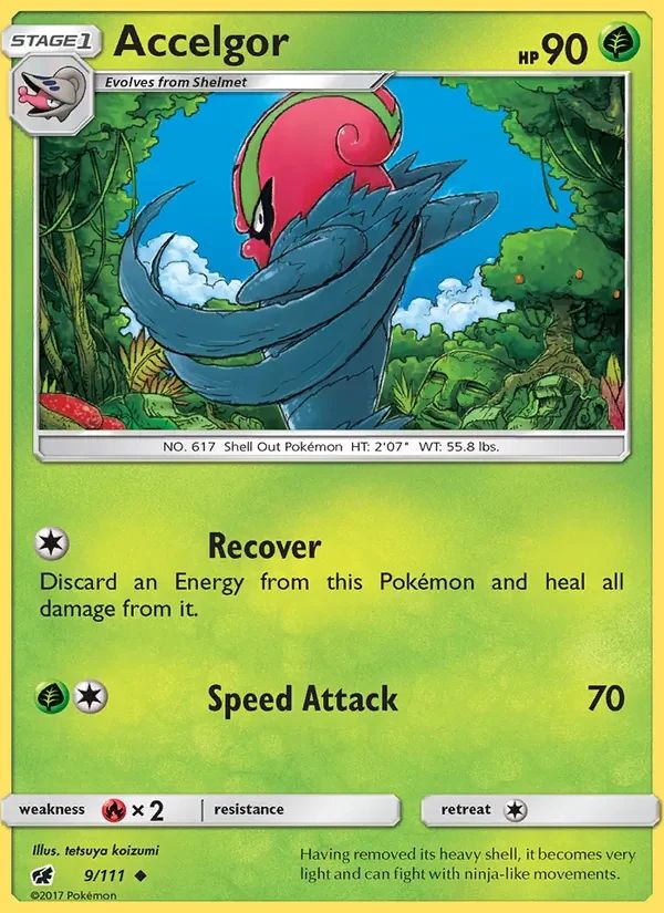 Accelgor 9