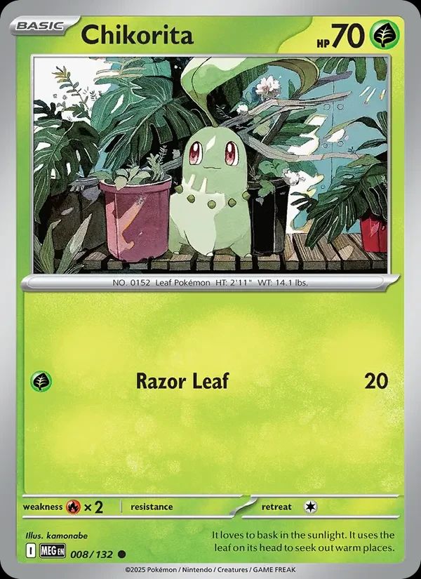 Chikorita 8