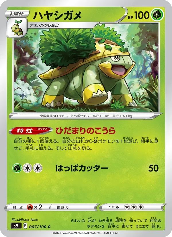 Grotle 7