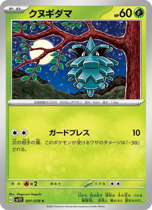Pineco 1
