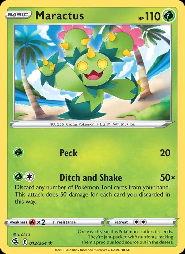 Maractus 12