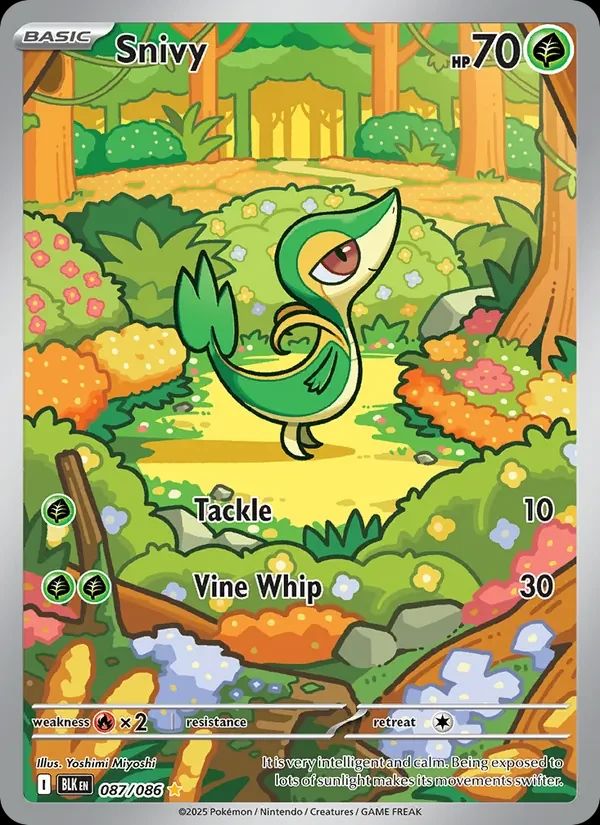 Snivy Black Bolt card