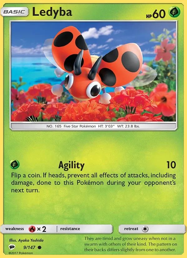 Ledyba 9