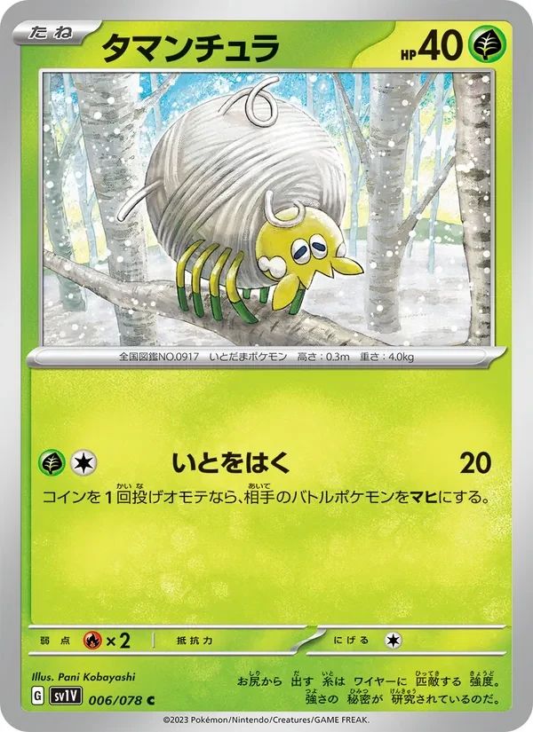 Tarountula 6