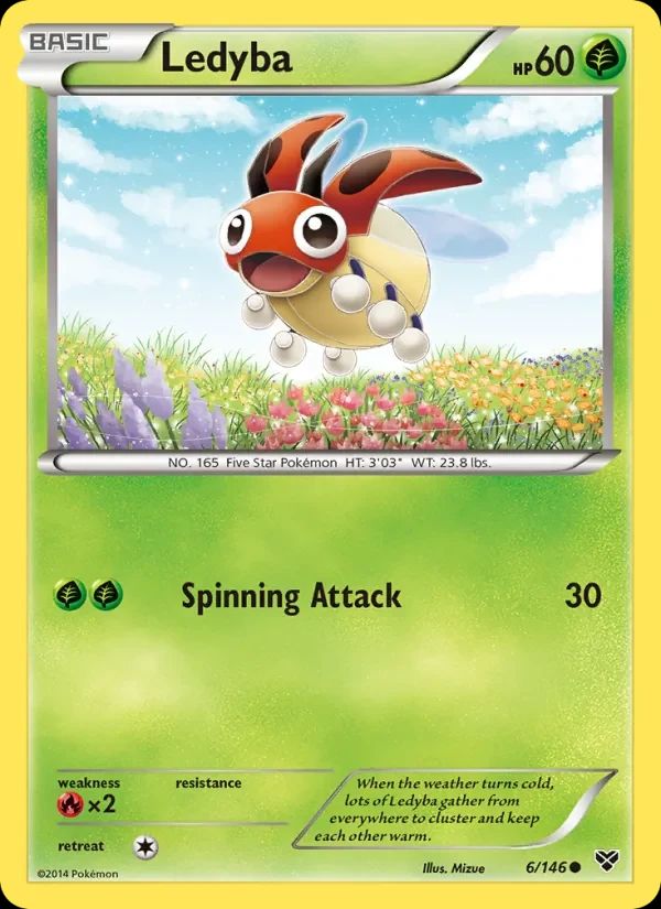 Ledyba 6