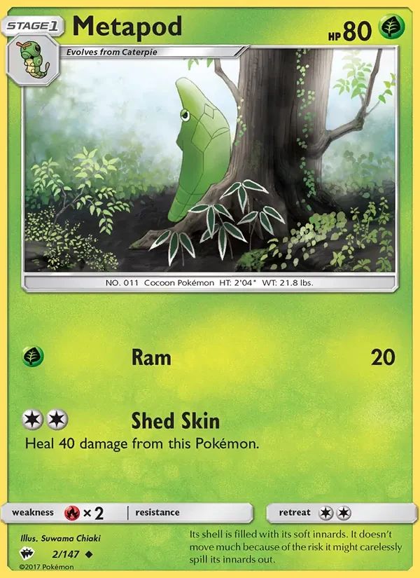 Metapod 2