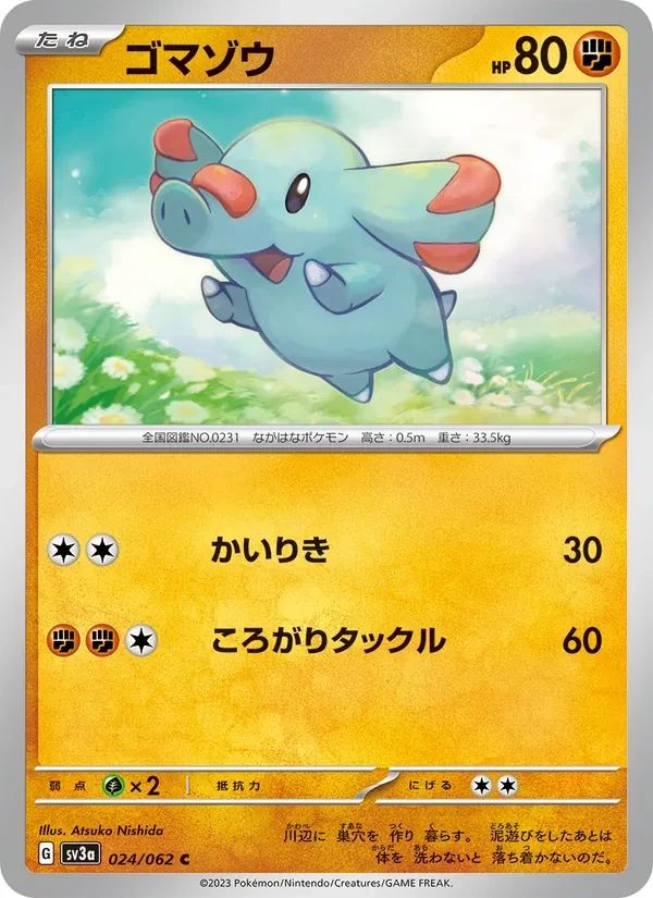 Phanpy 24