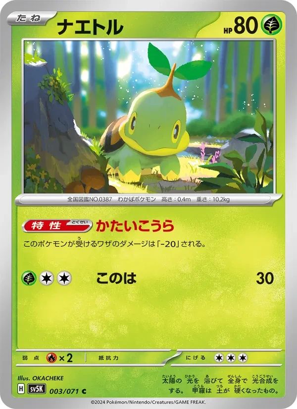 Turtwig 3