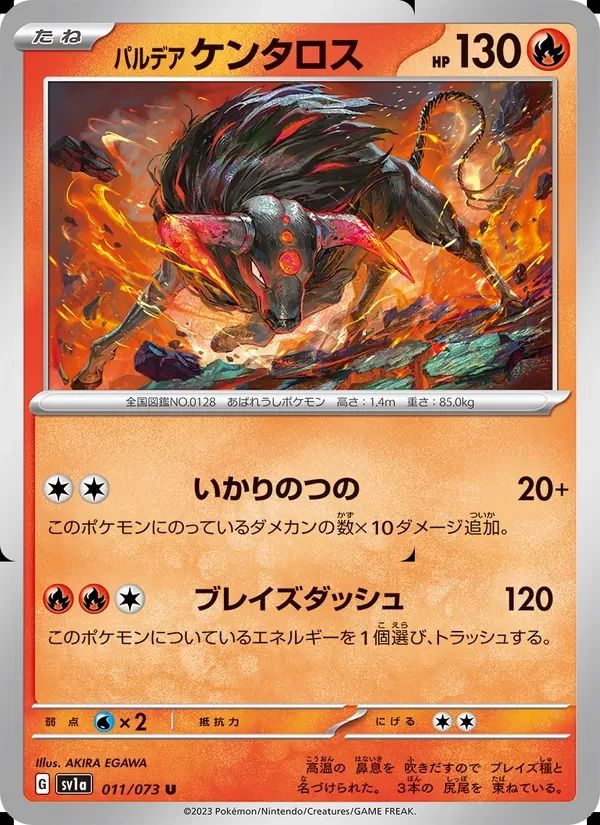 Paldean Tauros 11