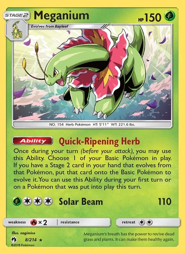 Meganium 8
