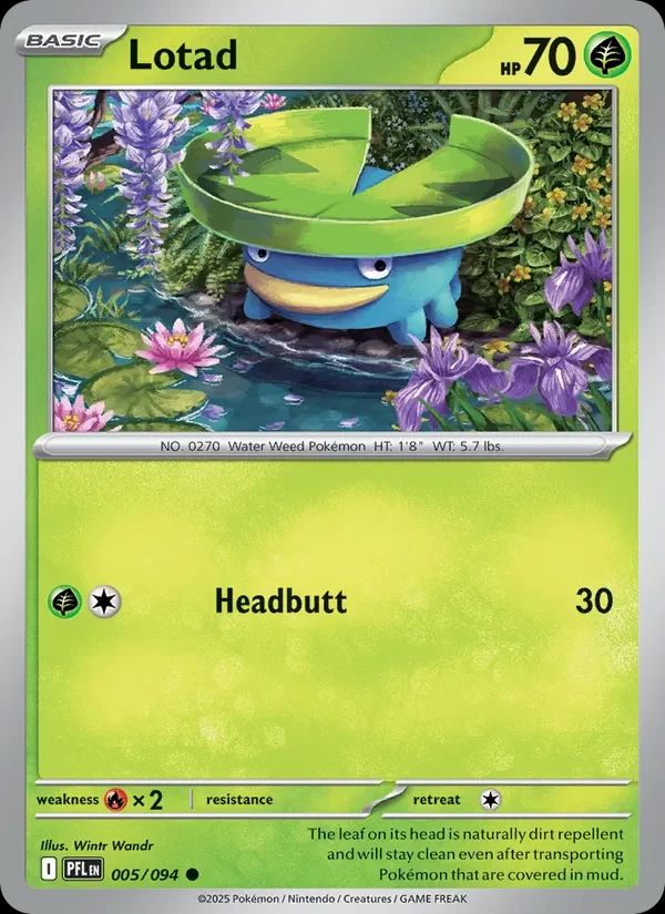 Lotad 5