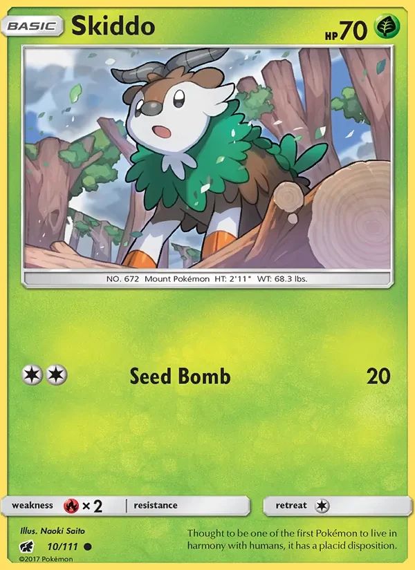 Skiddo 10