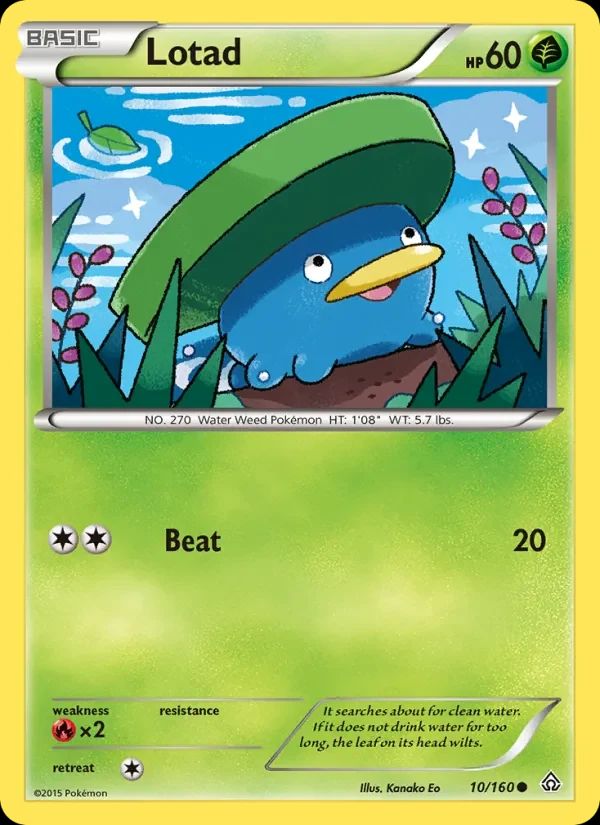 Lotad 10