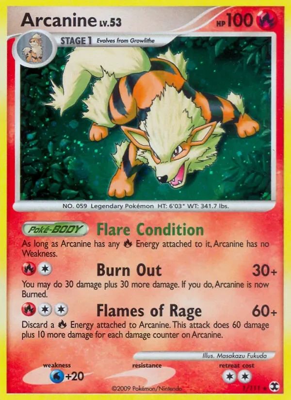 Arcanine 1