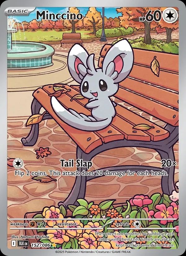 Minccino Black Bolt card