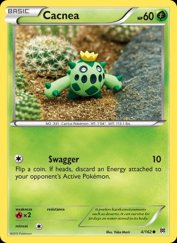 Cacnea 4