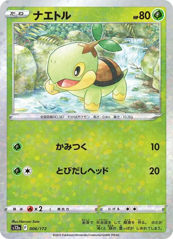 Turtwig 6