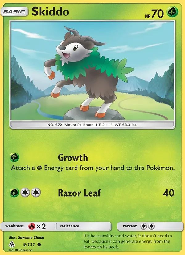 Skiddo 9