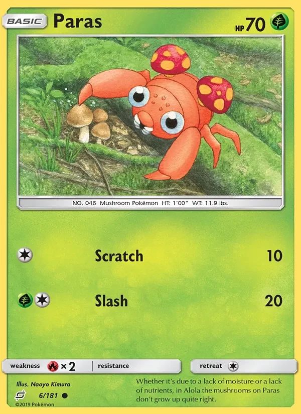 Paras 6