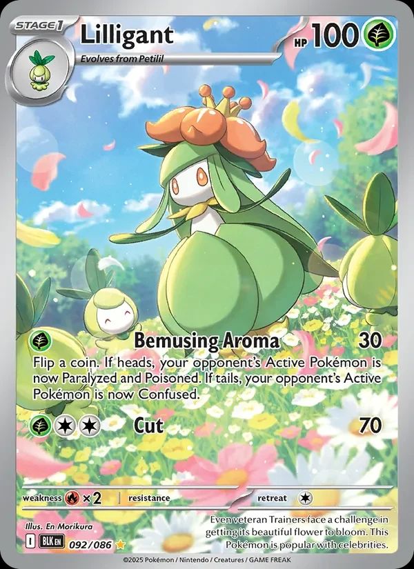 Lilligant Black Bolt card