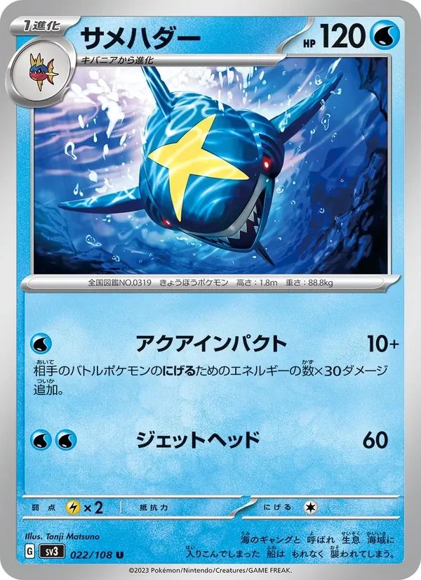 Sharpedo 22