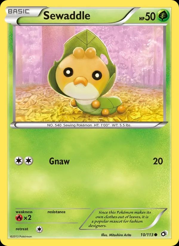 Sewaddle 10