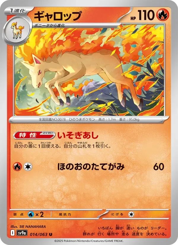 Rapidash 14
