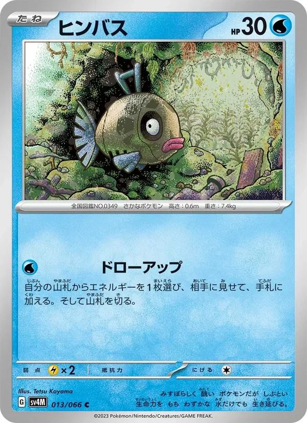Feebas 13