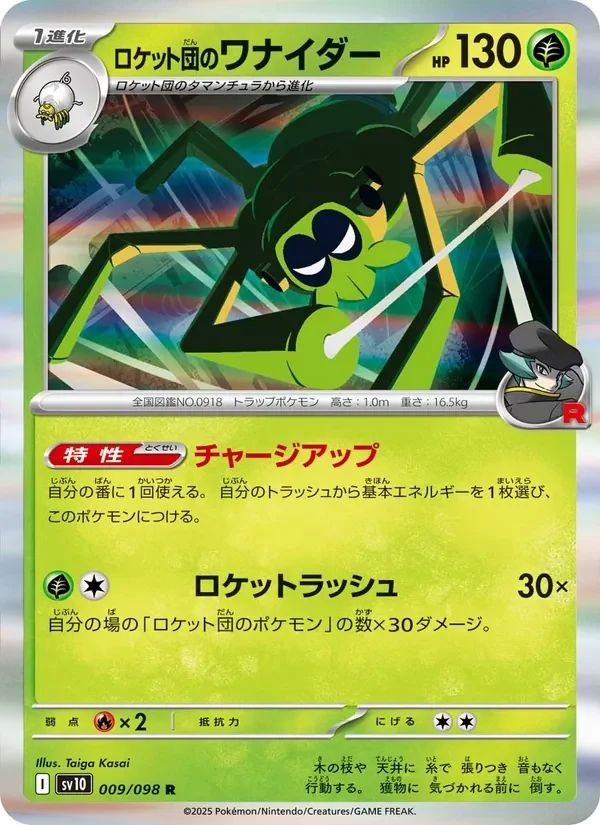 Team Rocket's Spidops 9